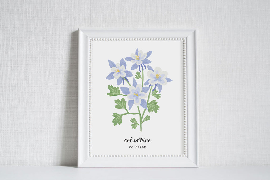 Colorado Columbine - State Flower Art Print – LoveLight Paper