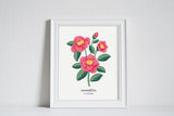 Alabama Camellia - State Flower Art Print