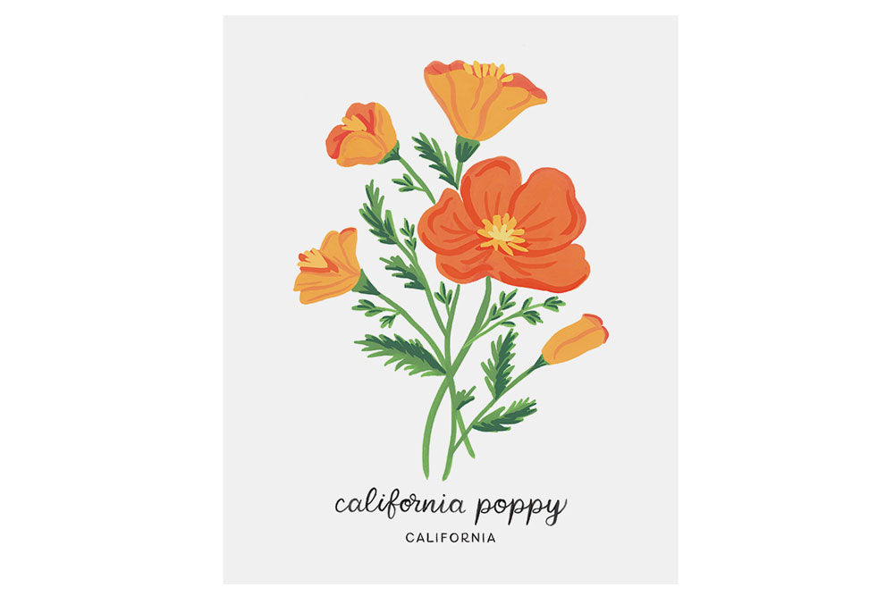 California Poppy, CA State Flower, Print reproduction artwork of pressed  flowers, 100% cotton rag paper