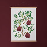 Figs - Modern Farm Garden Art Print