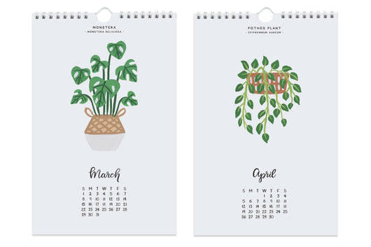 indoor plant calendar House Plants