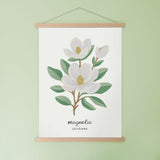 Louisiana Magnolia - State Flower Art Print