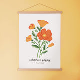 California Poppy - State Flower Art Print