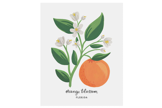 Florida Orange Blossom Art Print