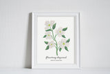 North Carolina Flowering Dogwood - State Flower Art Print