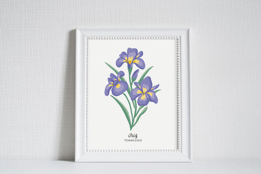Tennessee Iris - State Flower Art Print